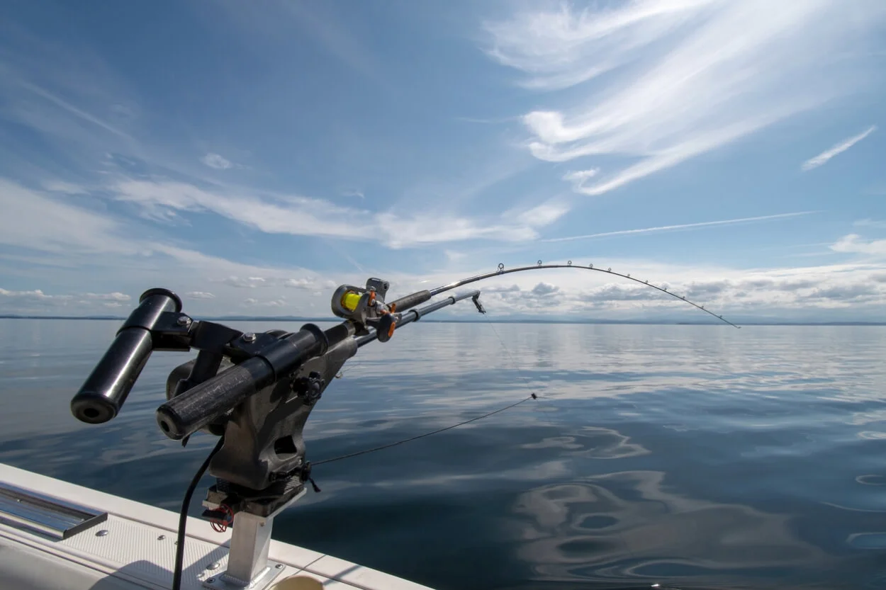 Reels Winkel -Reels Winkel bedste pirkestang