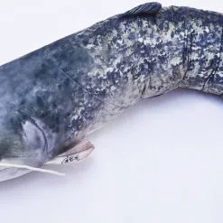 Elite Meerval Kussen